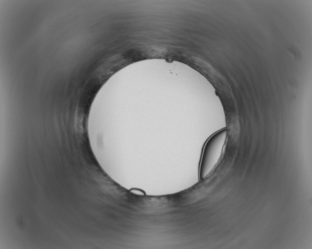 X0000114430525200911061645