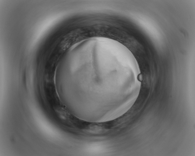 X0000114430526200911061645