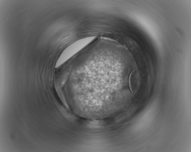 X0000114430527200911061645