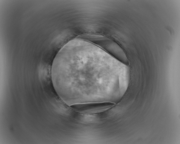 X0000114430528200911061645