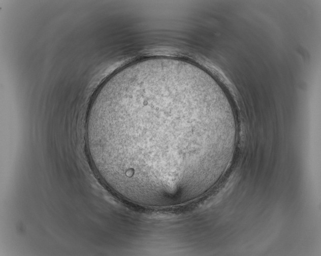 X0000114430529200911061645