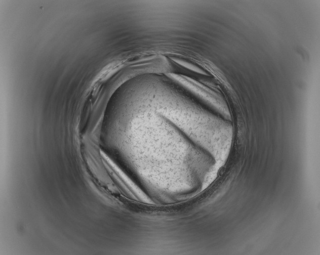 X0000114430530200911061645