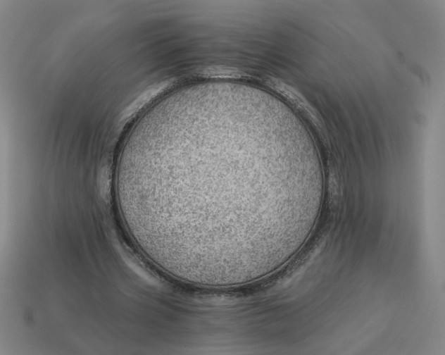 X0000114430533200911061645