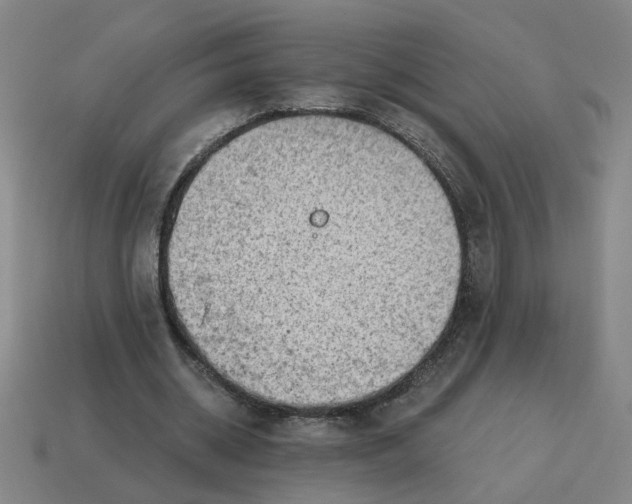 X0000114430534200911061645