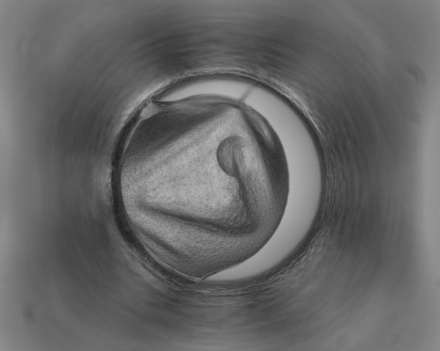 X0000114430535200911061645