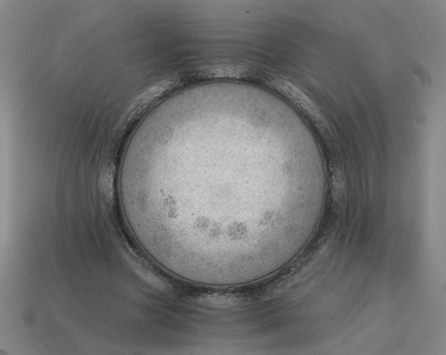 X0000114430537200911061645