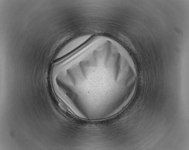 X0000114430538200911061645