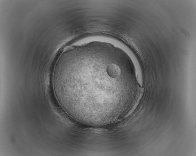 X0000114430539200911061645