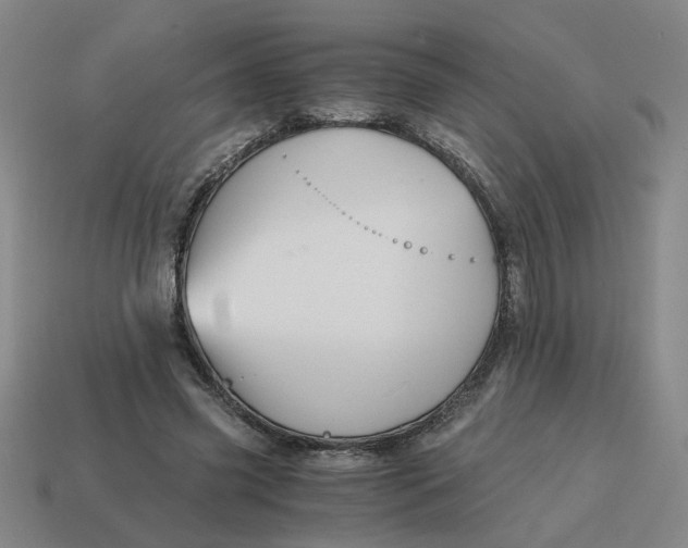 X0000114430541200911061645