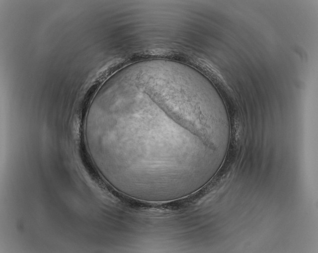 X0000114430542200911061645