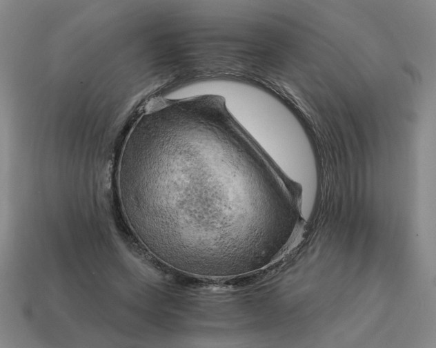 X0000114430543200911061645