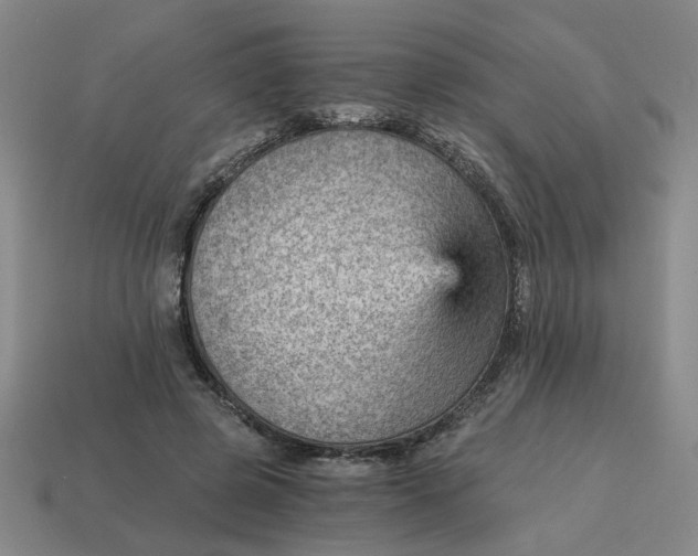 X0000114430545200911061645
