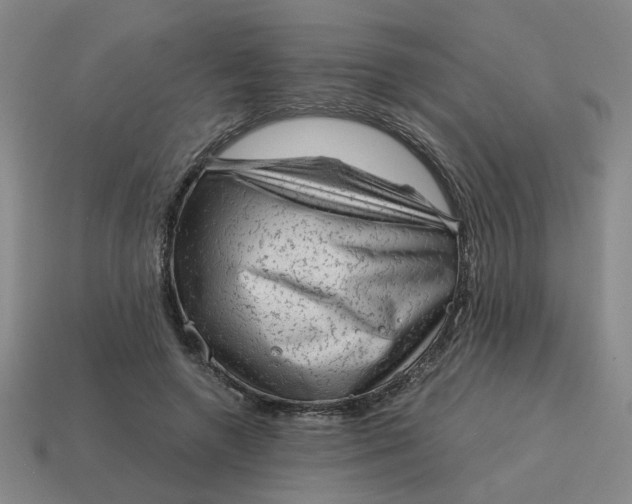 X0000114430546200911061645