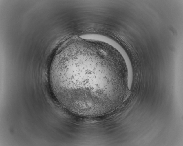 X0000114430547200911061645
