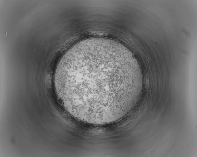 X0000114430551200911061645