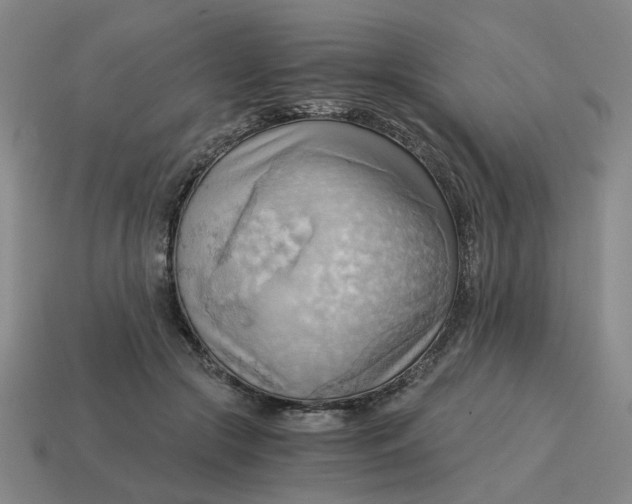 X0000114430553200911061645