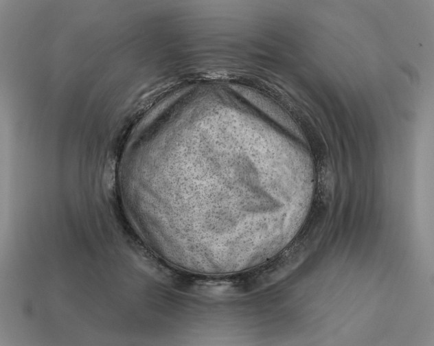X0000114430554200911061645