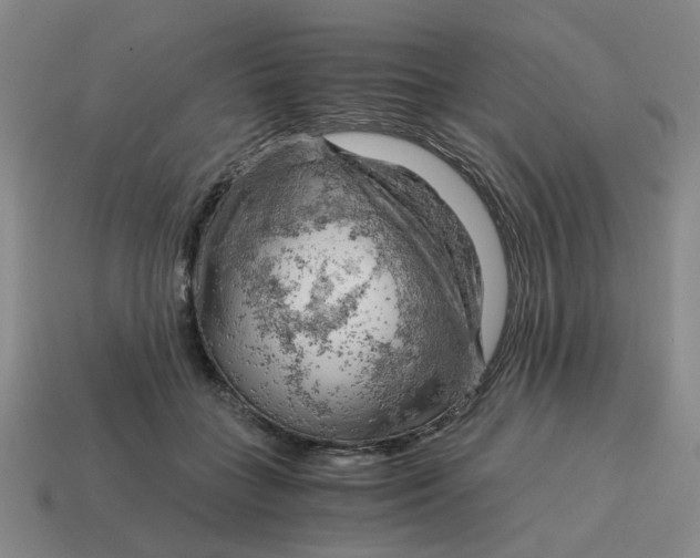 X0000114430555200911061645