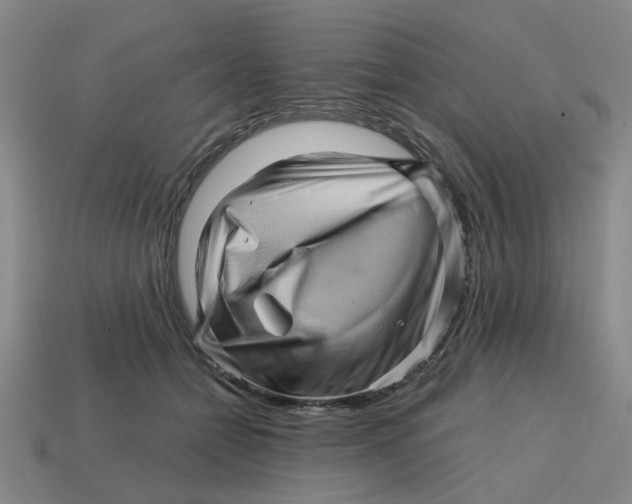 X0000114430558200911061645