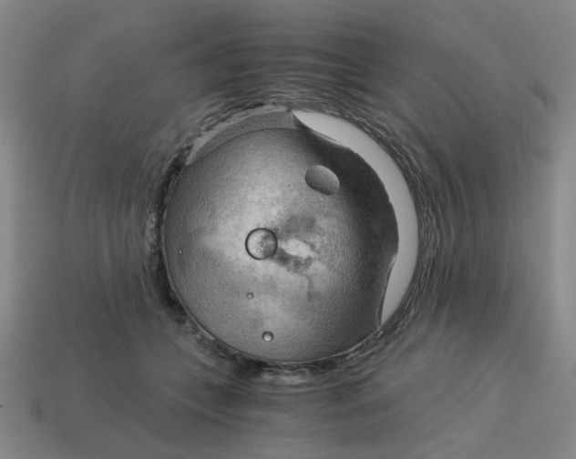 X0000114430559200911061645
