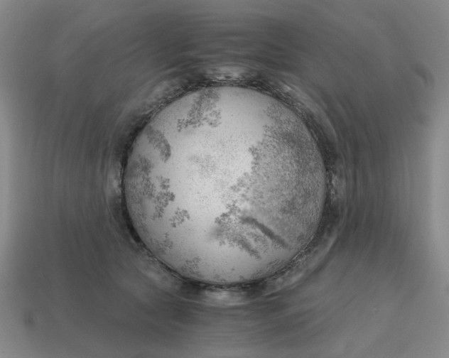 X0000114430561200911061645