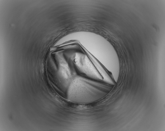X0000114430562200911061645