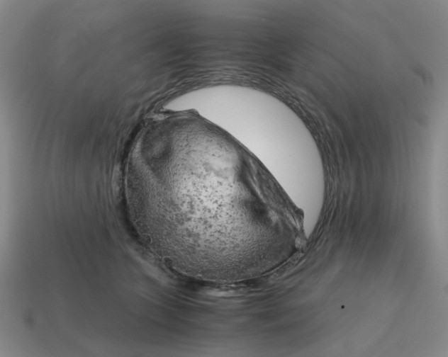 X0000114430563200911061645