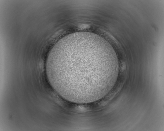 X0000114430565200911061645