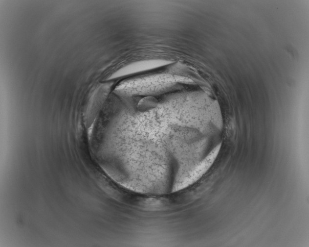 X0000114430566200911061645