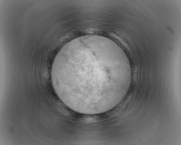 X0000114430569200911061645