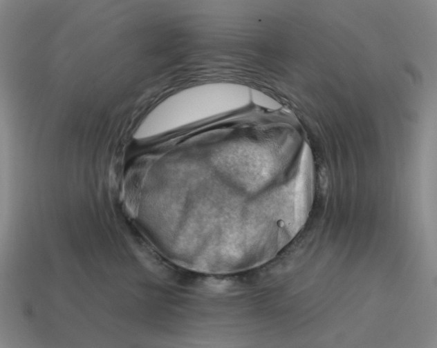 X0000114430570200911061645