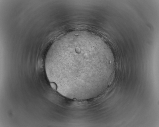 X0000114430571200911061645