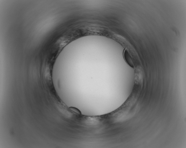 X0000114430573200911061645