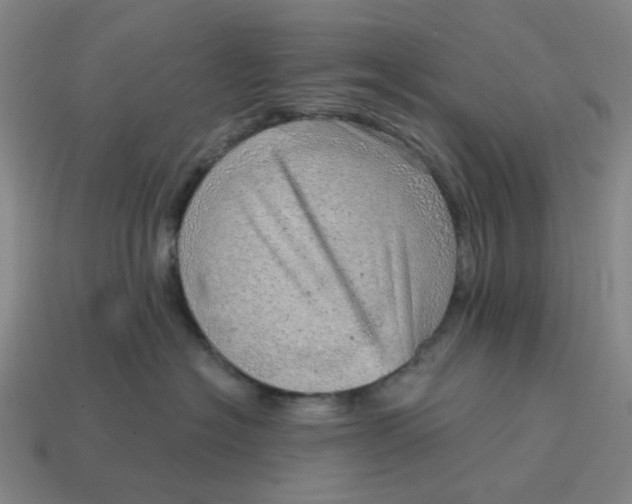 X0000114430574200911061645