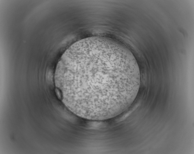X0000114430575200911061645