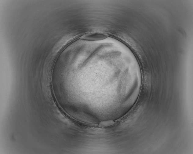 X0000114430577200911061645