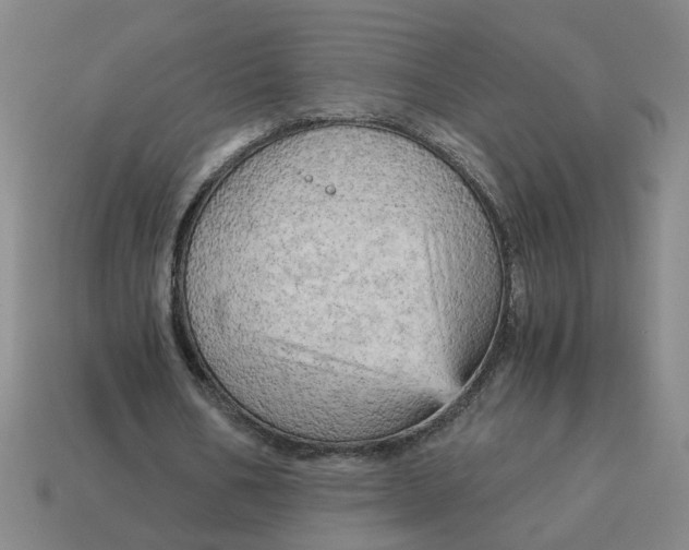 X0000114430578200911061645