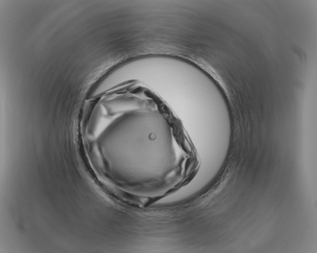 X0000114430581200911061645