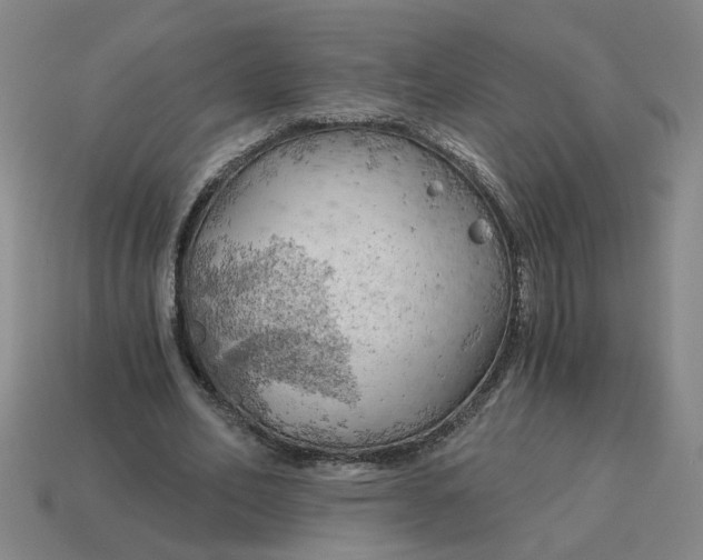 X0000114430582200911061645