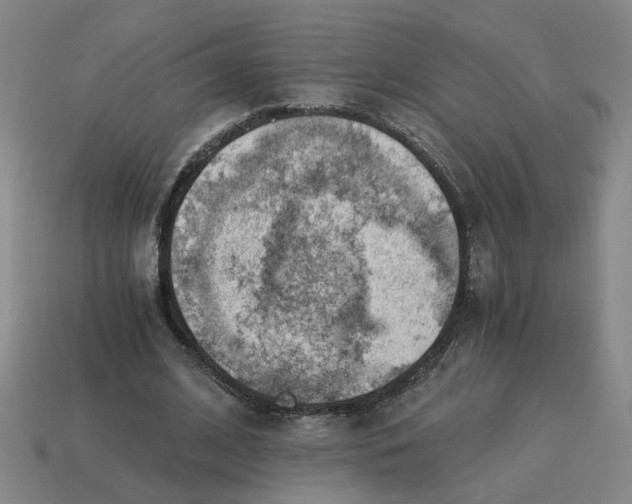 X0000114430584200911061645