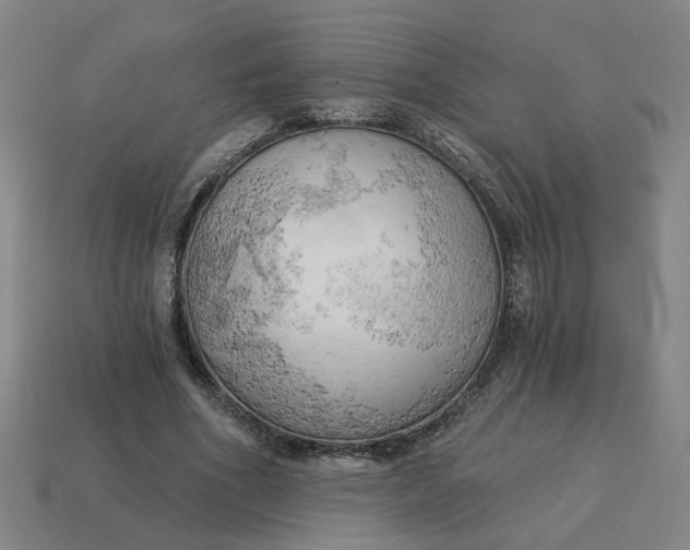 X0000114430586200911061645