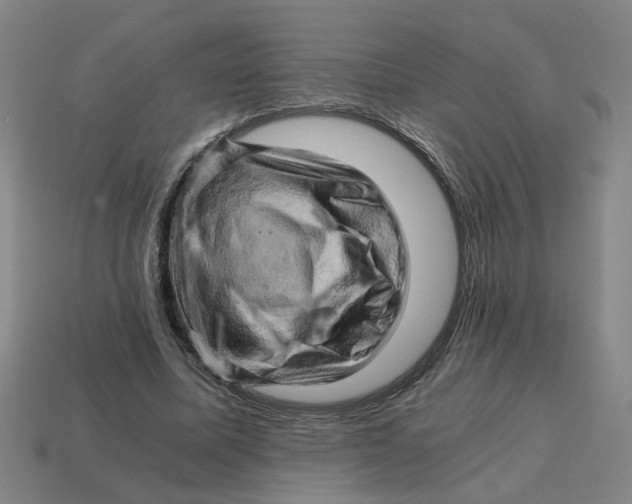 X0000114430587200911061645