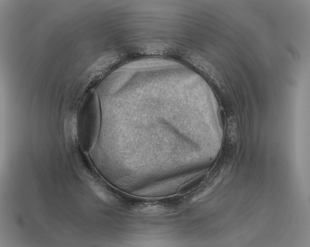 X0000114430589200911061645