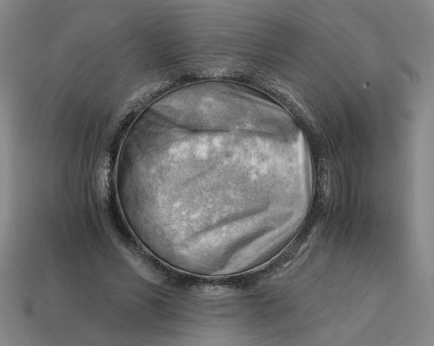 X0000114430590200911061645