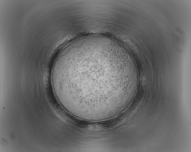 X0000114430591200911061645