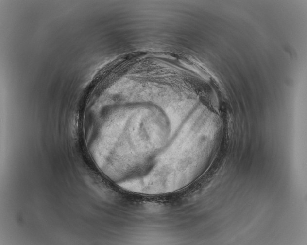 X0000114430592200911061644