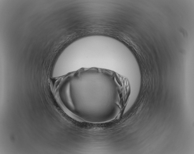X0000114430593200911061644