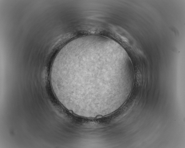 X0000114430594200911061644