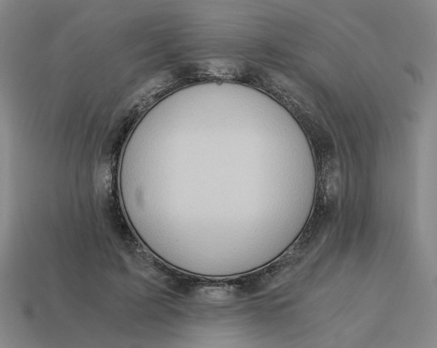 X0000114430595200911061644