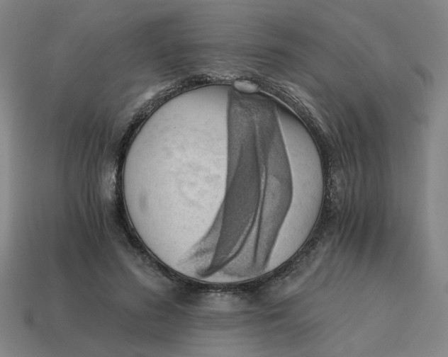 X0000114430596200911061644